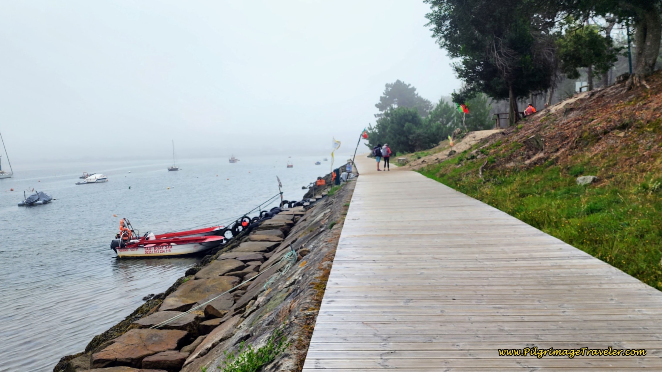 Caminha Taxi Barco Peregrino
