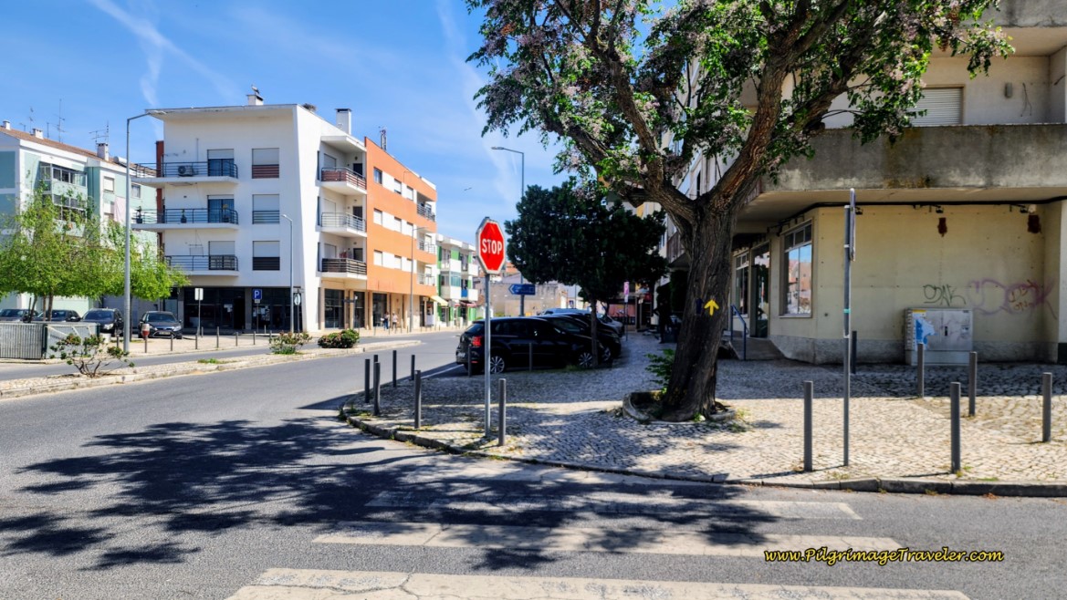 Avenida do Valverde into the Center of Town