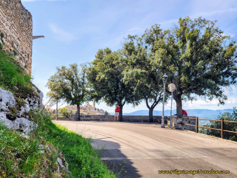 Way of St. Francis: Day Twelve, Spello to Trevi - Belvedere San Martino