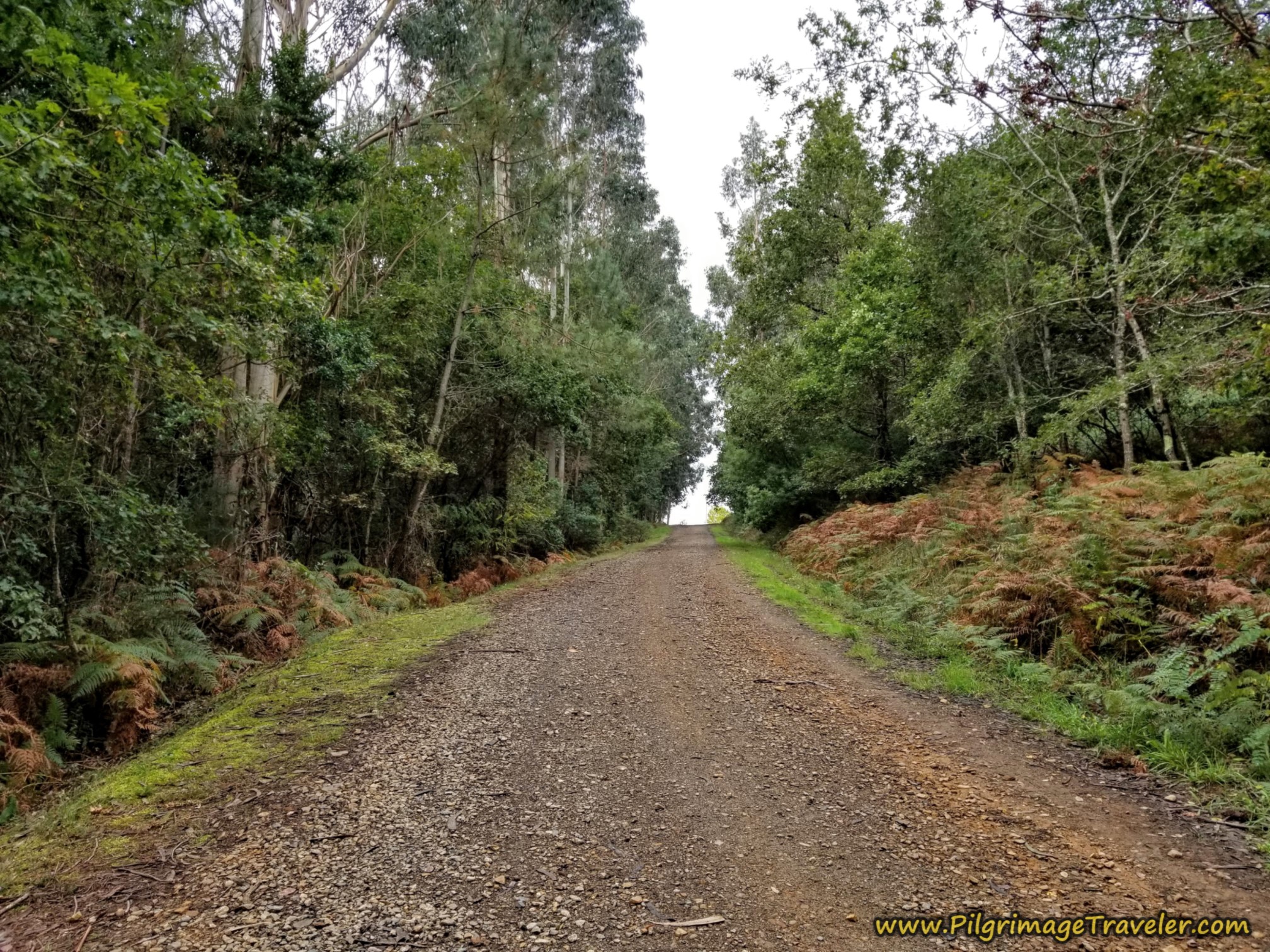 Steep Uphill Climb on This Dirt Lane