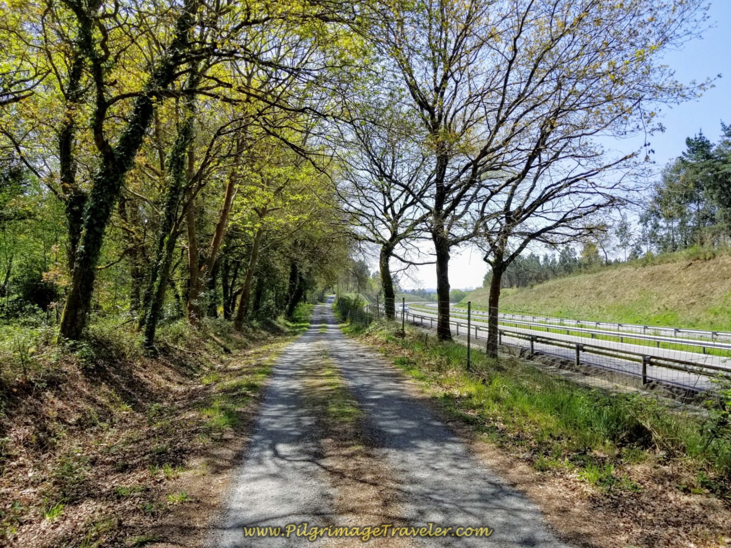 Shaded Portion of Frontage Lane After Fountain on day seven of the English Way