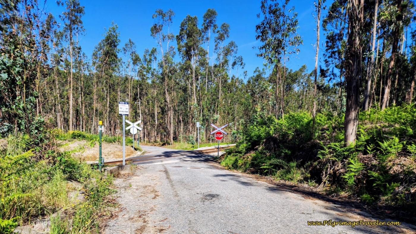 Crossing Railroad Tracks Again