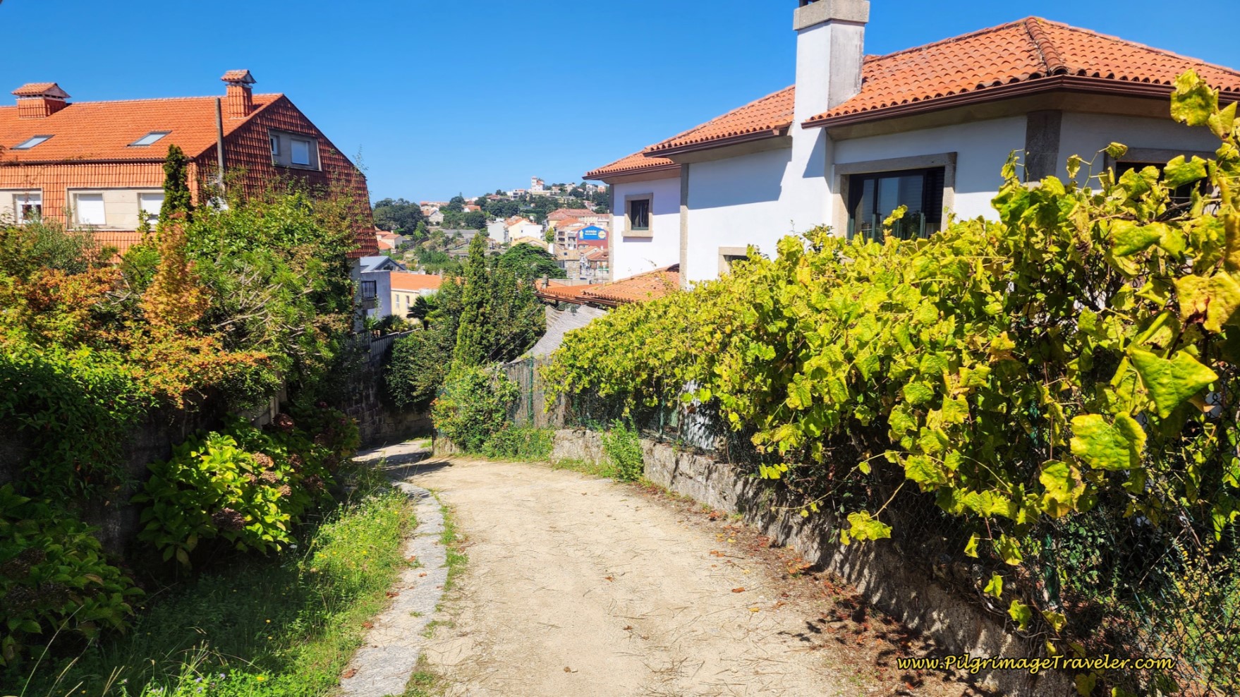 Descend on Lane Towards the Rio Miñor Descend on Lane Towards the Rio Miñor