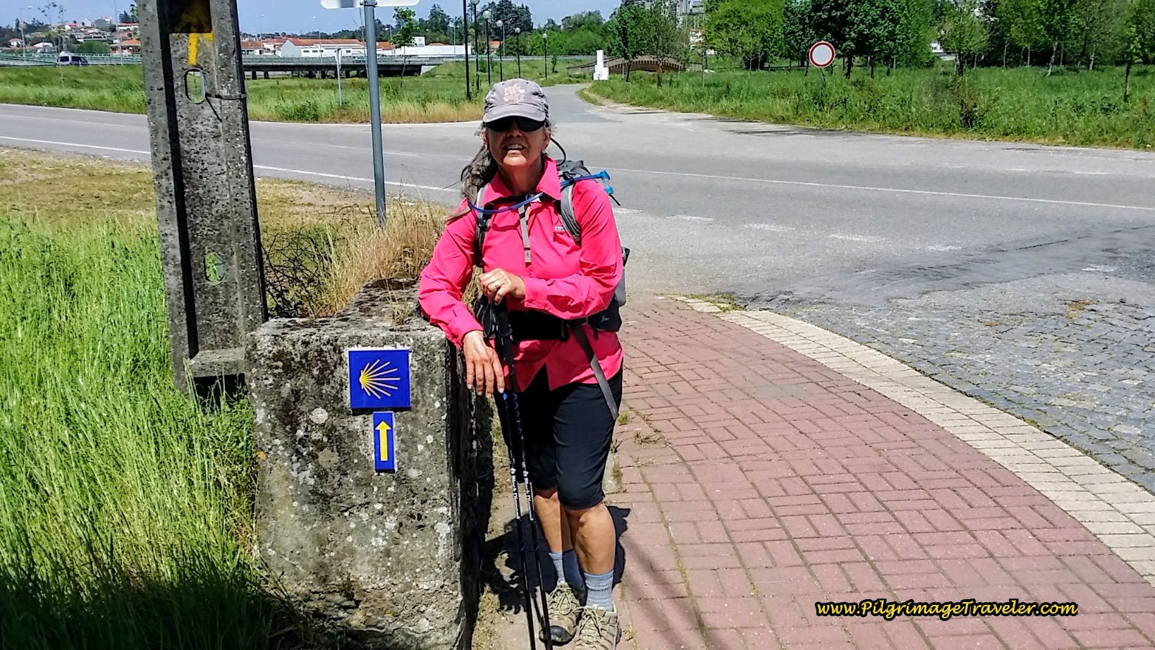 Elle at Intersection with the N1, south of Agueda on day eleven of the Camino Portugués Elle at Intersection with the M606