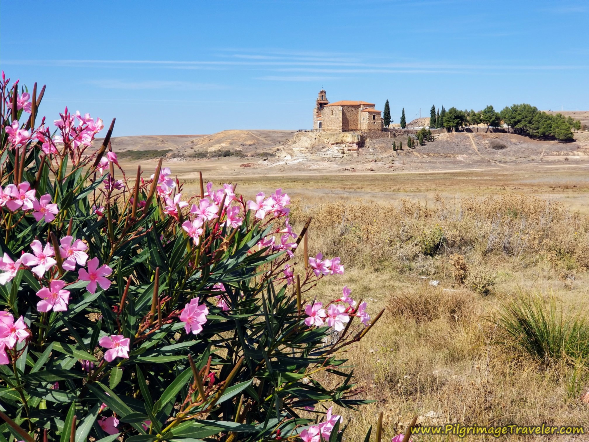 Oleander and the Ermita de la Virgen del Castillo