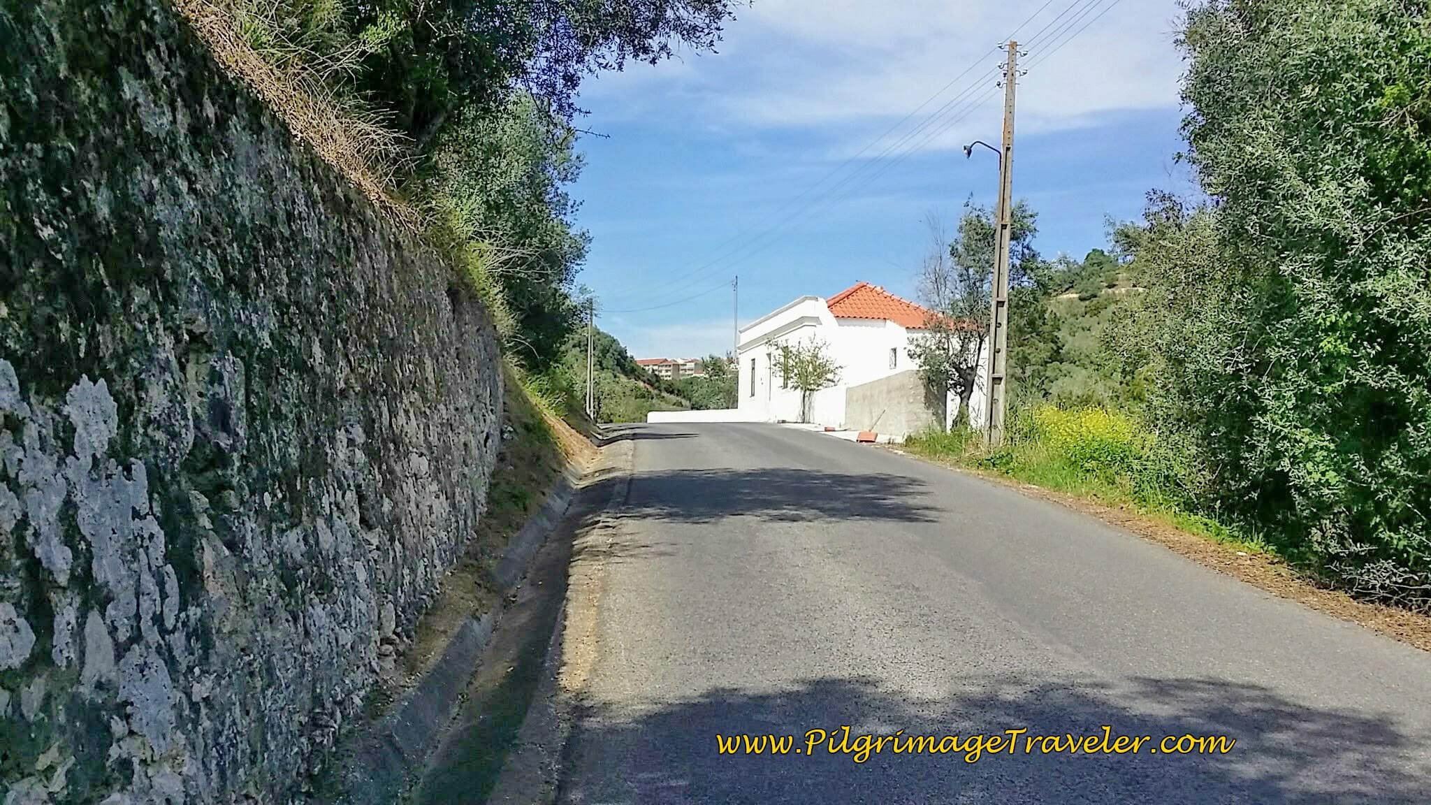 The Hill Climb to Santarém Begins on the Portuguese Way
