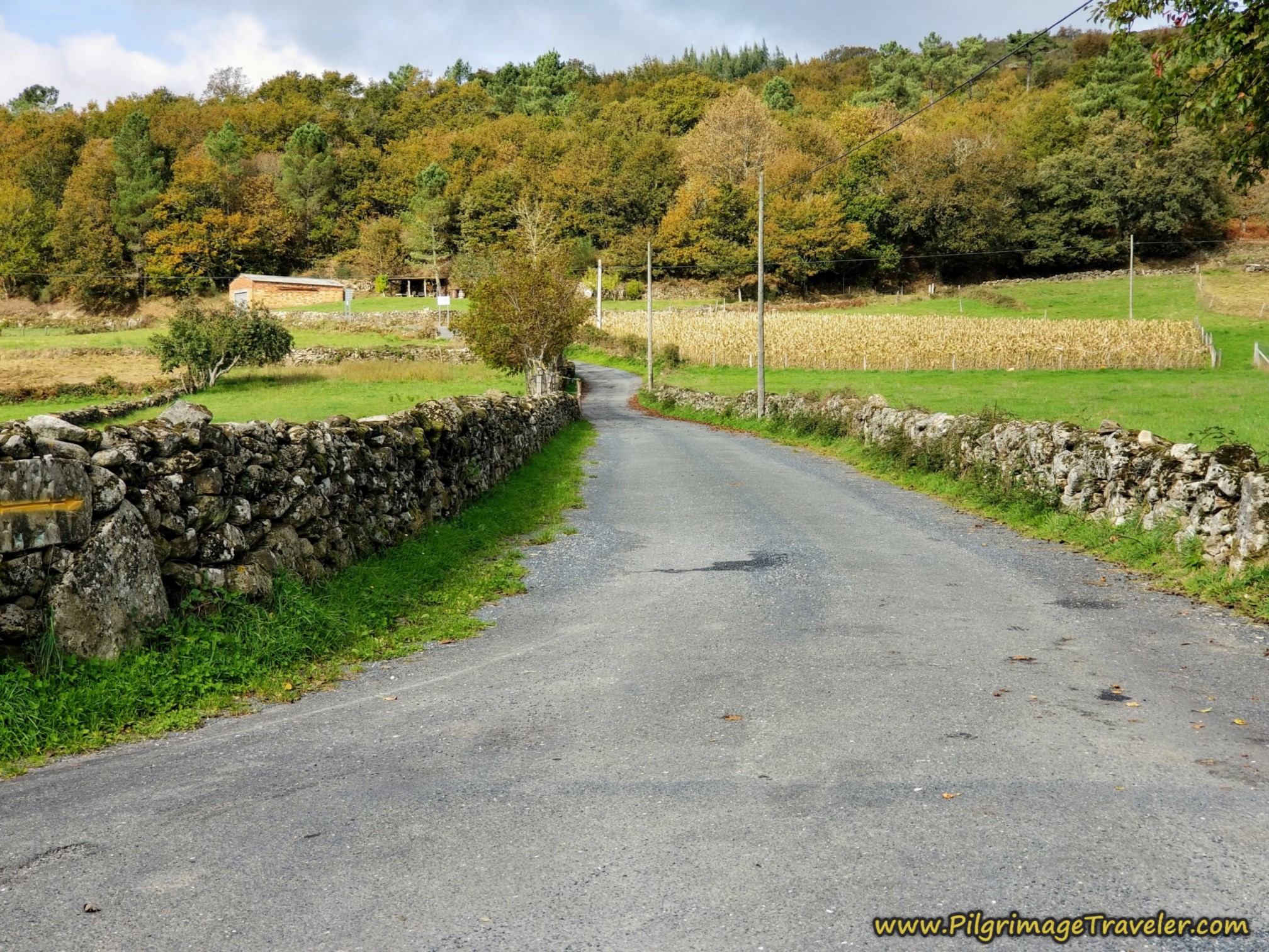 Walled Road Toward Outeiro de Coiras, Camino Sanabrés, Cea to Estación de Lalín