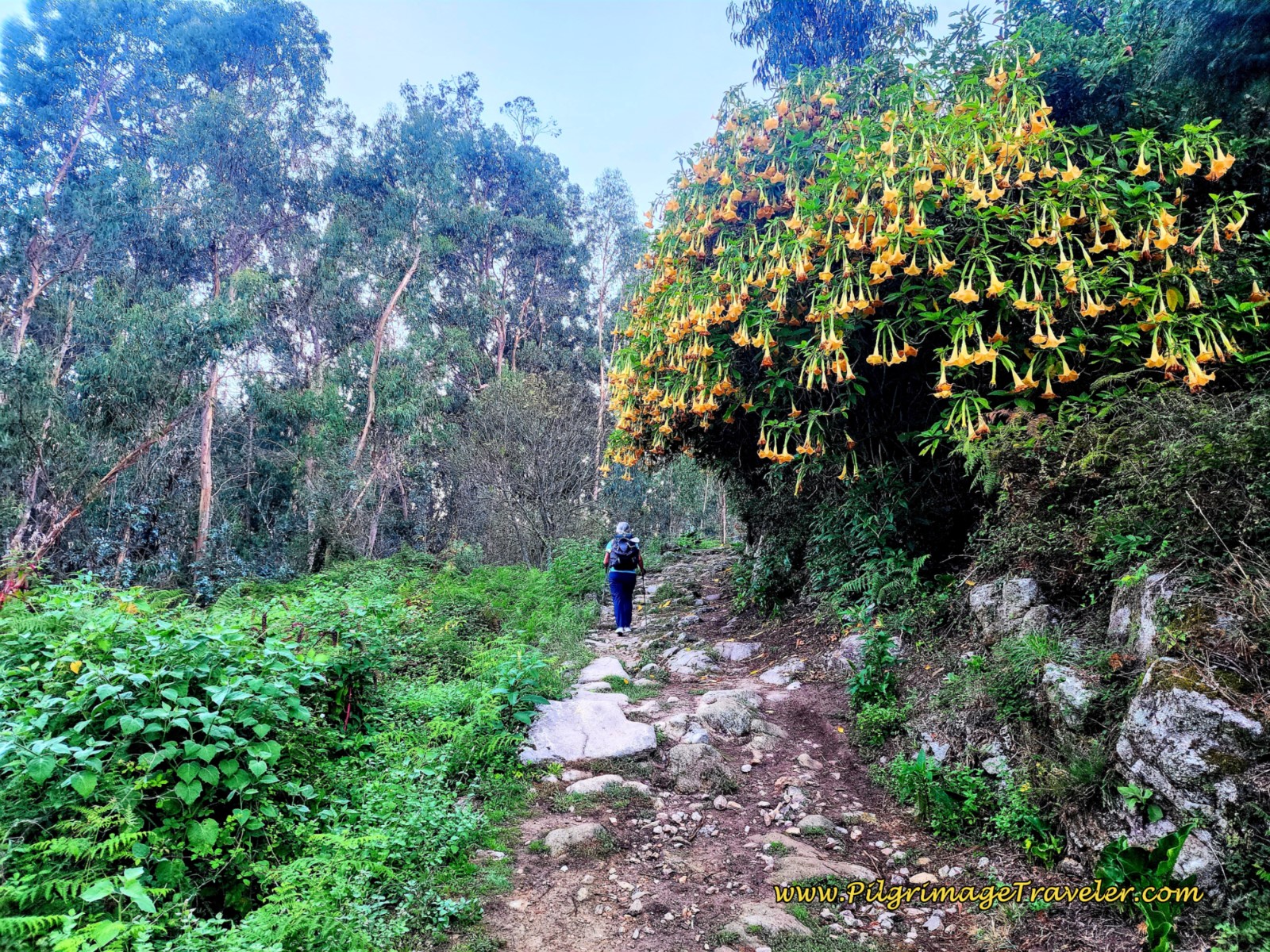 Briefly on the Ancient Roman Road