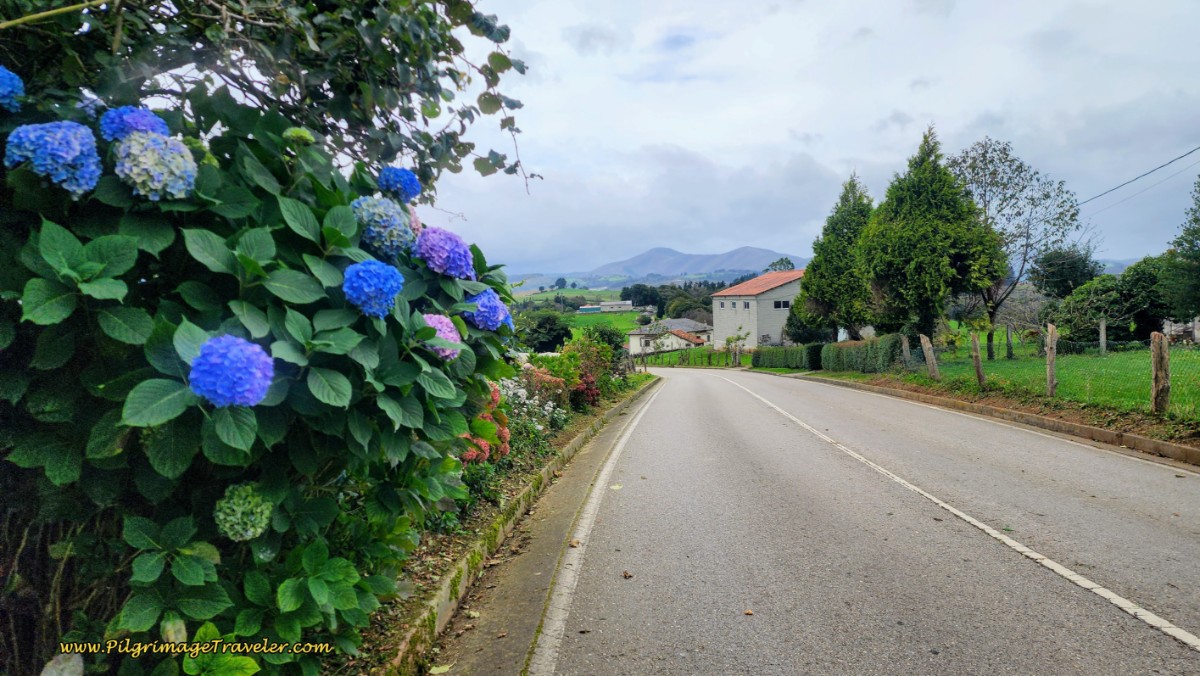 Along the TI-3 Through Vega del Rey