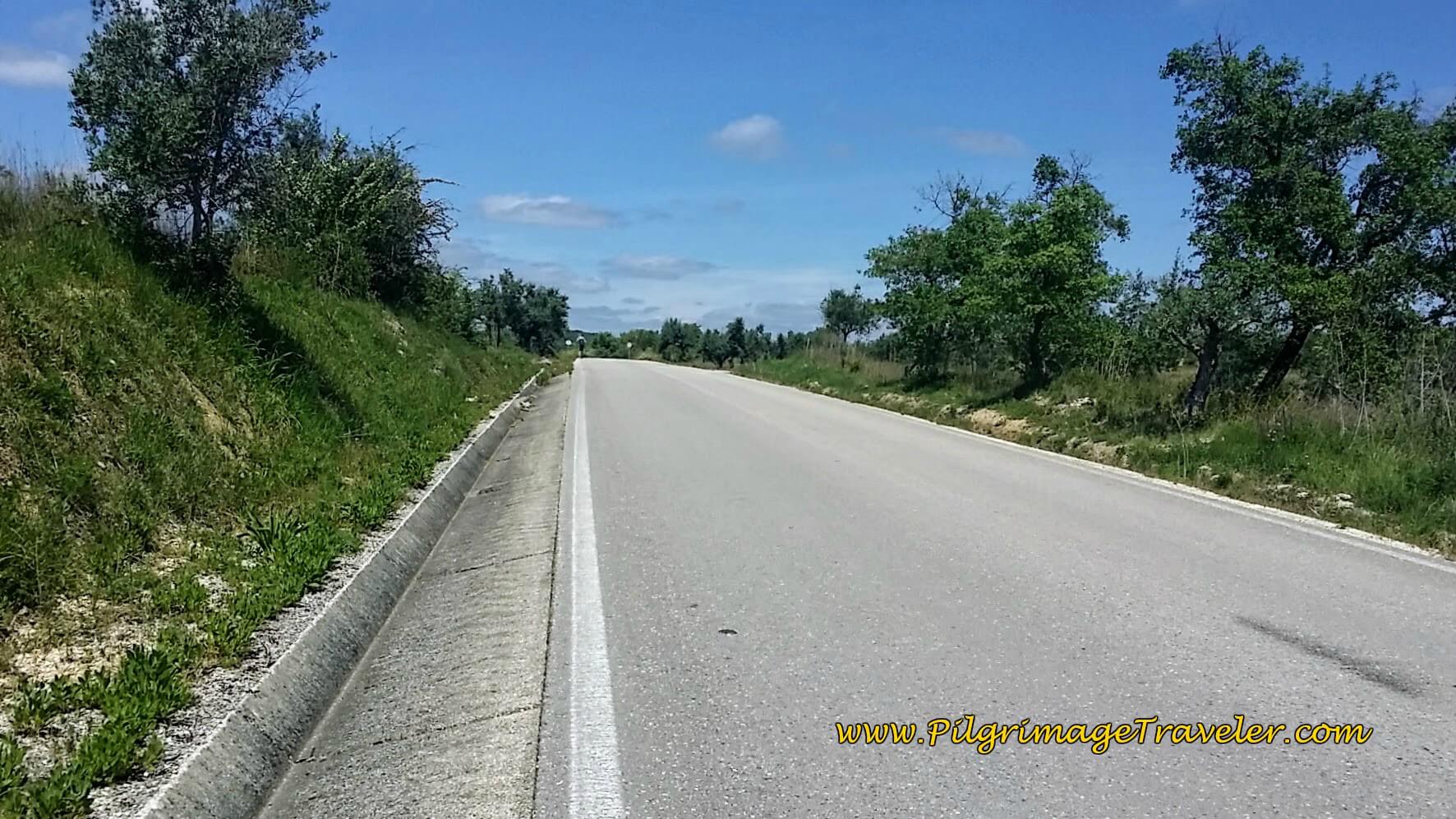 Walking on the Shoulder of the N348 towards Cortiça, Portugal