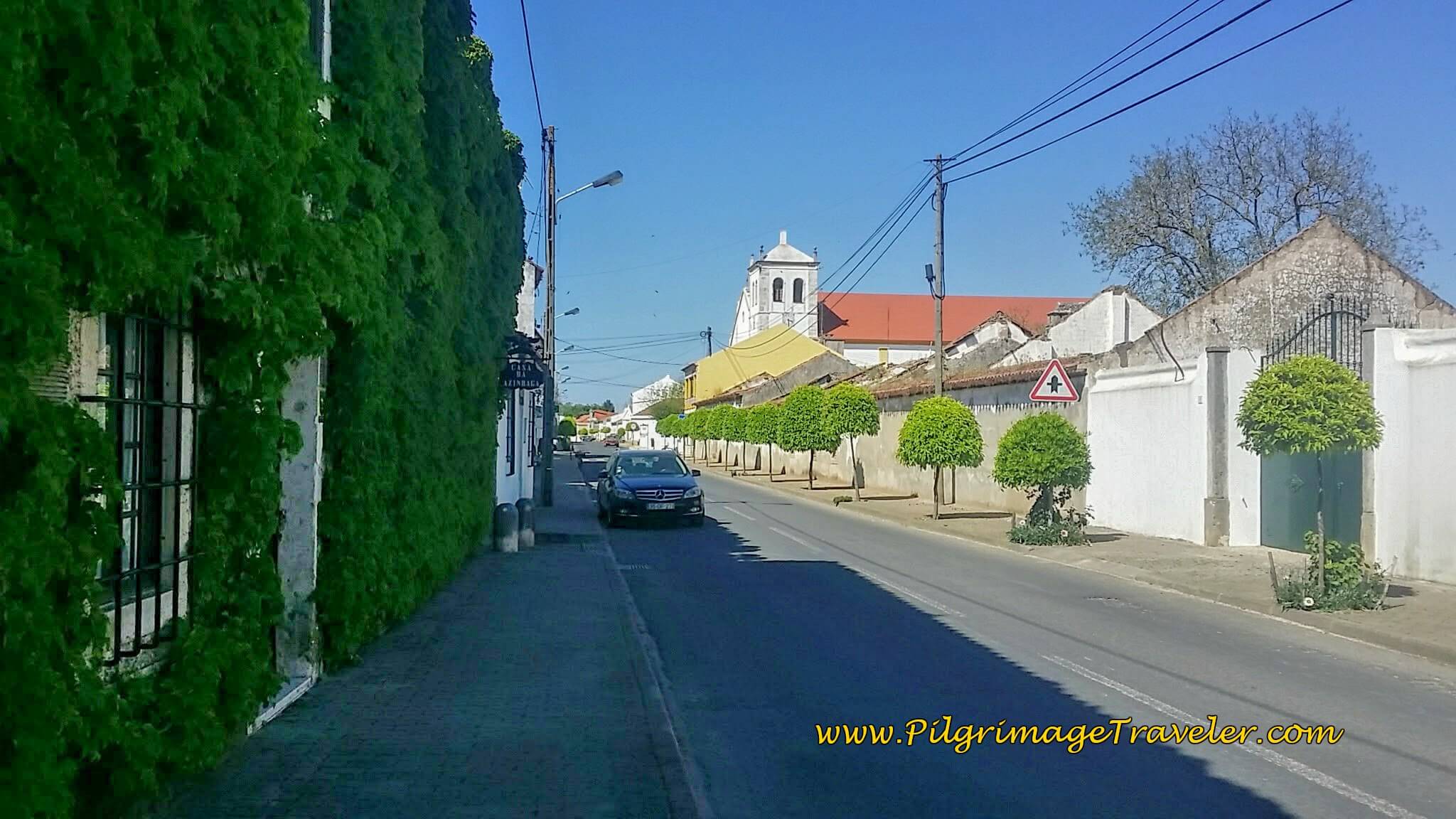 Walking Through the Center of Azinhaga on the N365