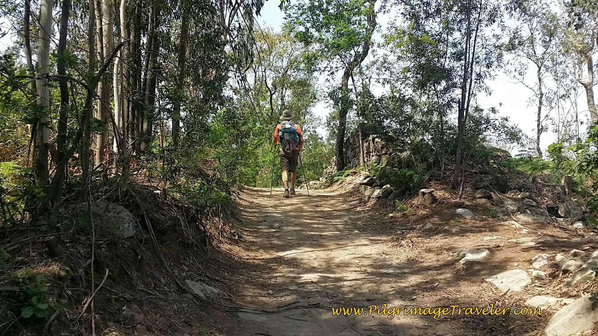 Turn off the Rua do Alto da Serra on this Path on day fourteen of the Camino Portugués