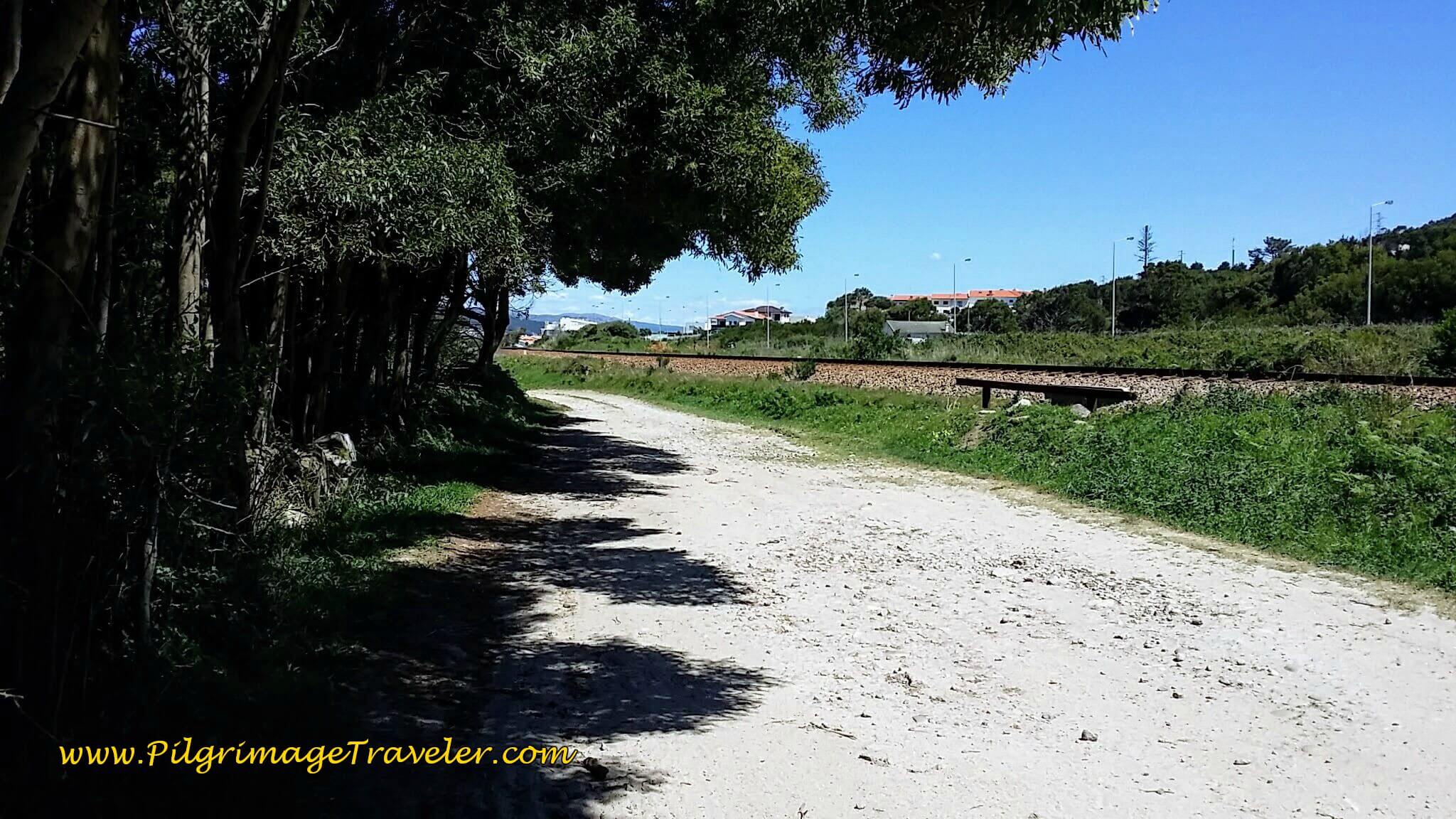 Gravel Road, the Rua da Estrada Real, Along the Railroad Tracks on day eighteen of the Camino Portugués on the Coastal Route Gravel Road, the Rua da Estrada Real, Along the Railroad Tracks, Monedo on day eighteen of the Camino Portugués on the Coastal Route