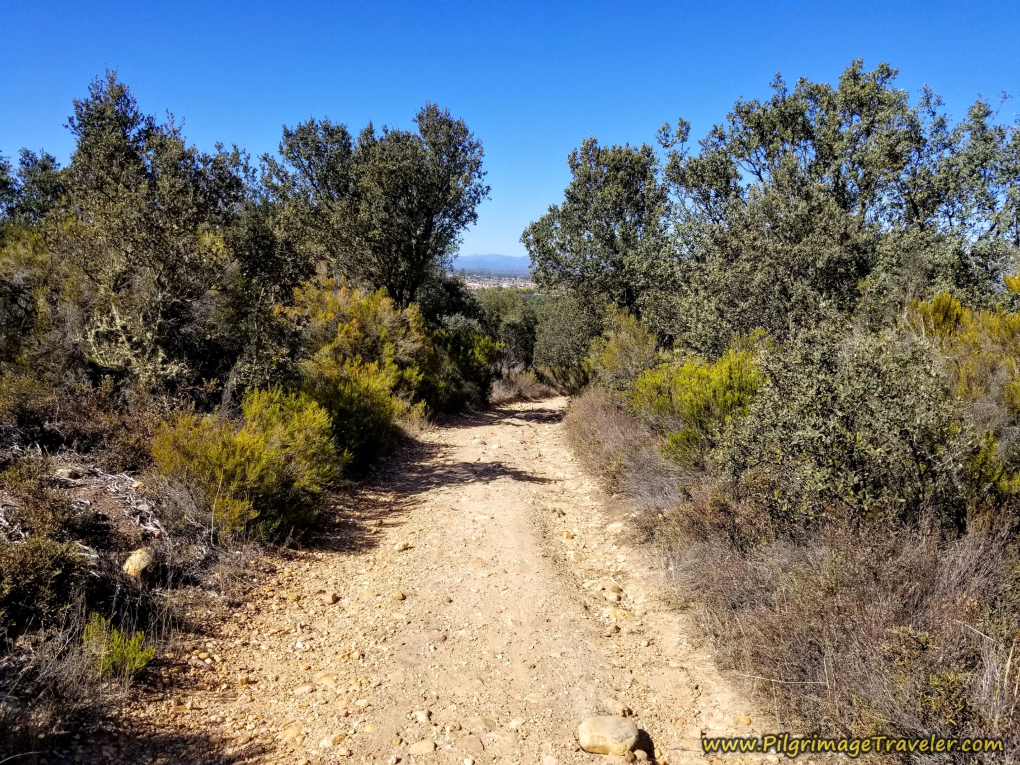 The Top ~ Rionegro del Puente in View