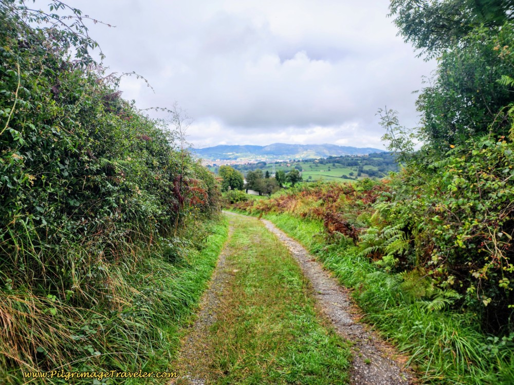 Lane Towards San Miguel de la Pereda on day six of the Camino de San Salvador Lane Towards San Miguel de la Pereda