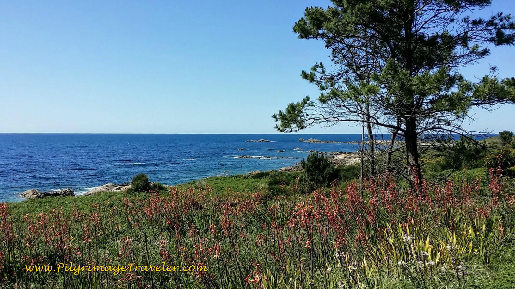The Sea Beacons the Pilgrimage Traveler Onward on day ninteen of the Portuguese Way