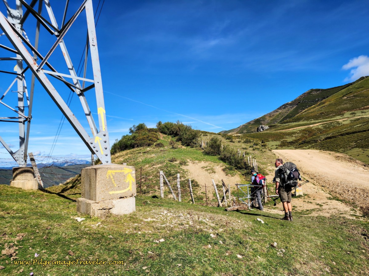 Yellow Arrows on Power Line and Gate