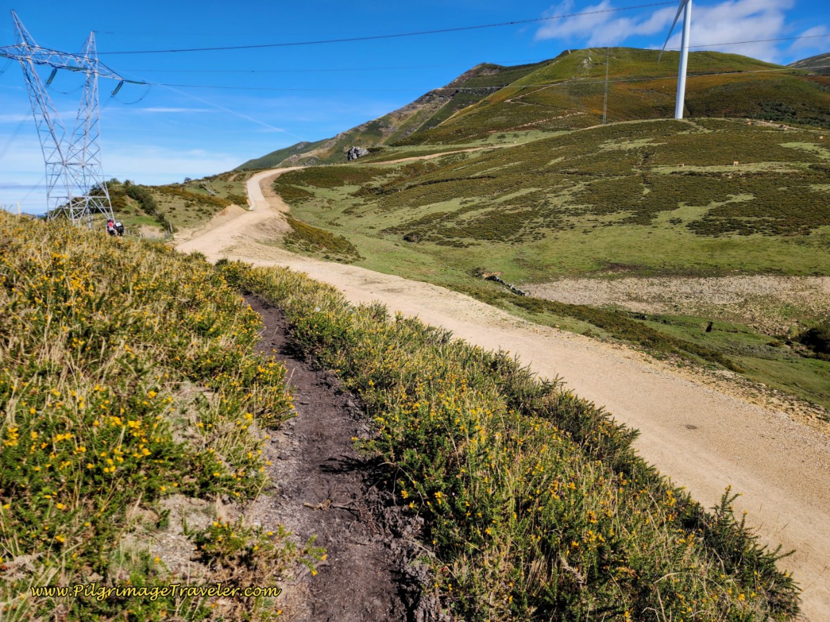 Track Towards Power Line