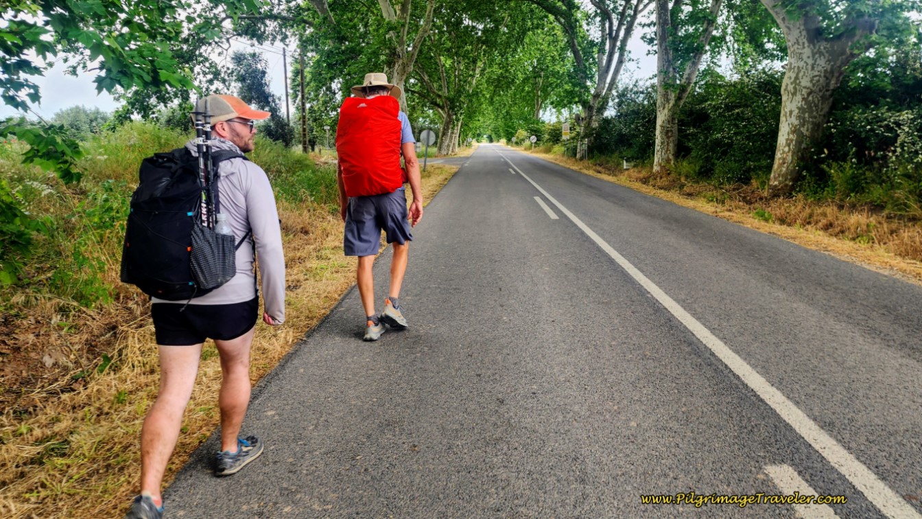 N365 towards Golegã with Another Pilgrim