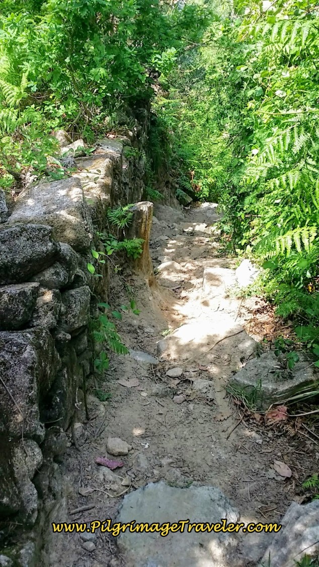 The Path becomes a Goat Track