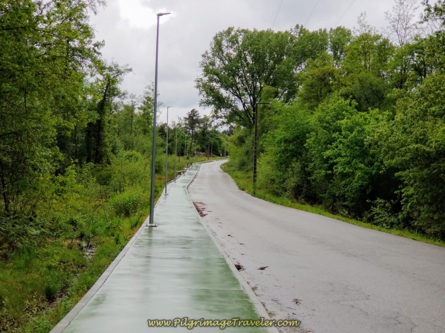 The Green Pathway Continues Toward O Porriño on day twenty on the central route of the Portuguese Camino