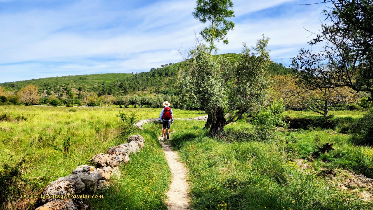 Double Track Fades to Single Track