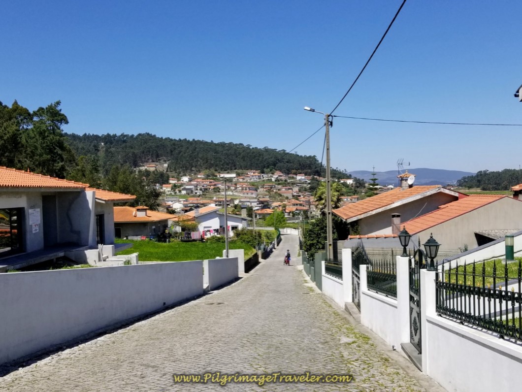 Toward Pereira on Cobblestone on day sixteen on the Central Route of the Portuguese Way