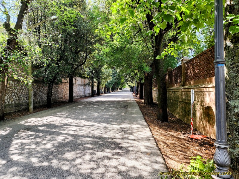 Way of St. Francis: Day Twelve, Spello to Trevi - Home Stretch Along the Viale Augusto Ciuffelli