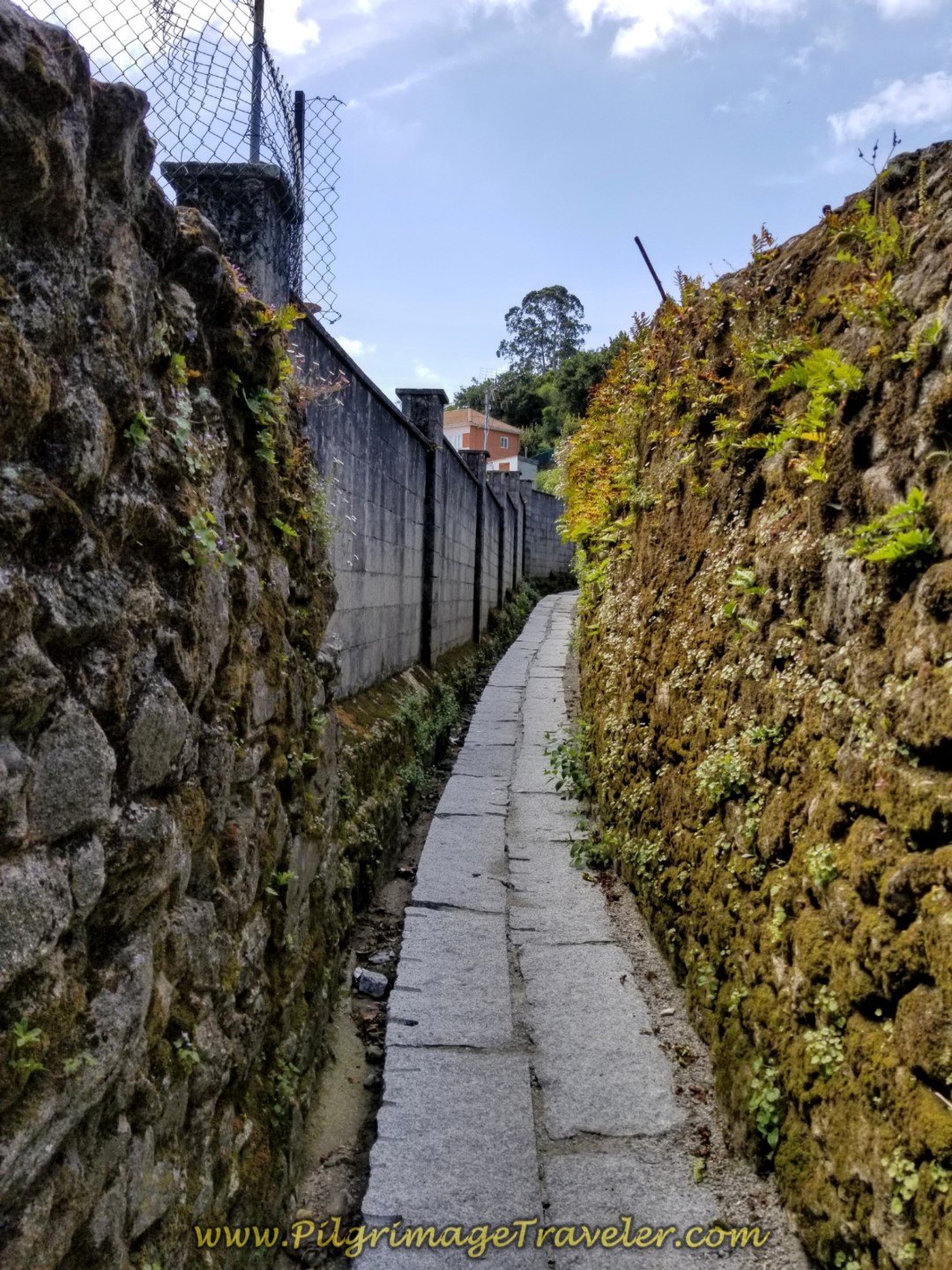 Follow the Passageway