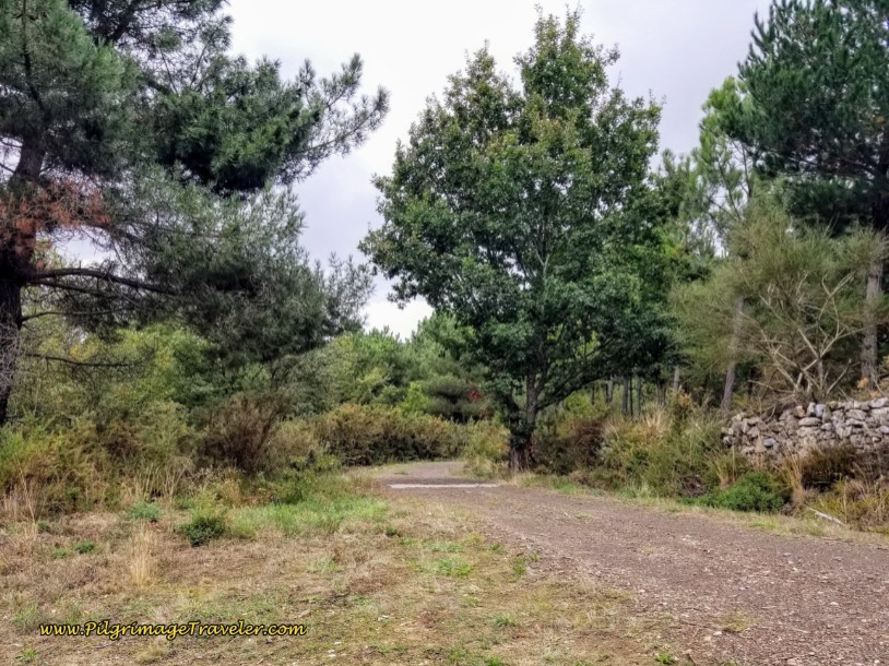 Right Turn Onto Lane