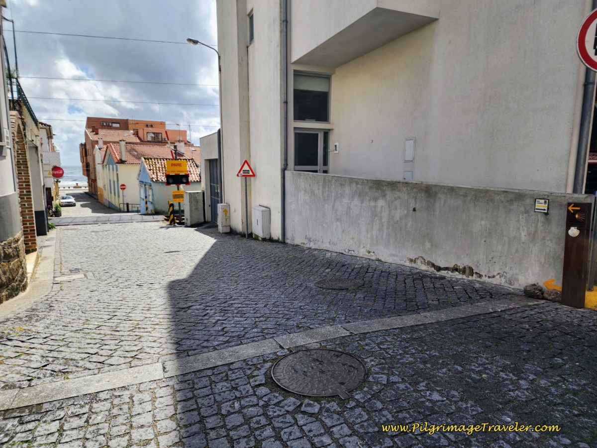 Cross the Railroad Tracks on the Rua Celestino Hernandes Cross the Railroad Tracks on the Rua Celestino Hernandes