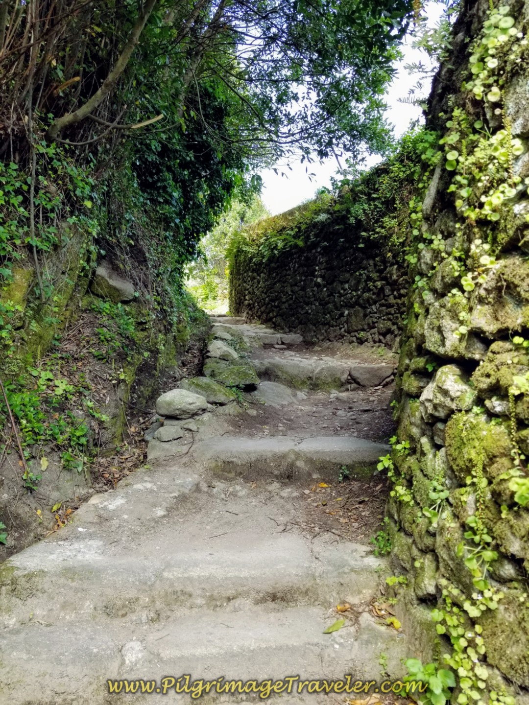Hidden Garden Passageway