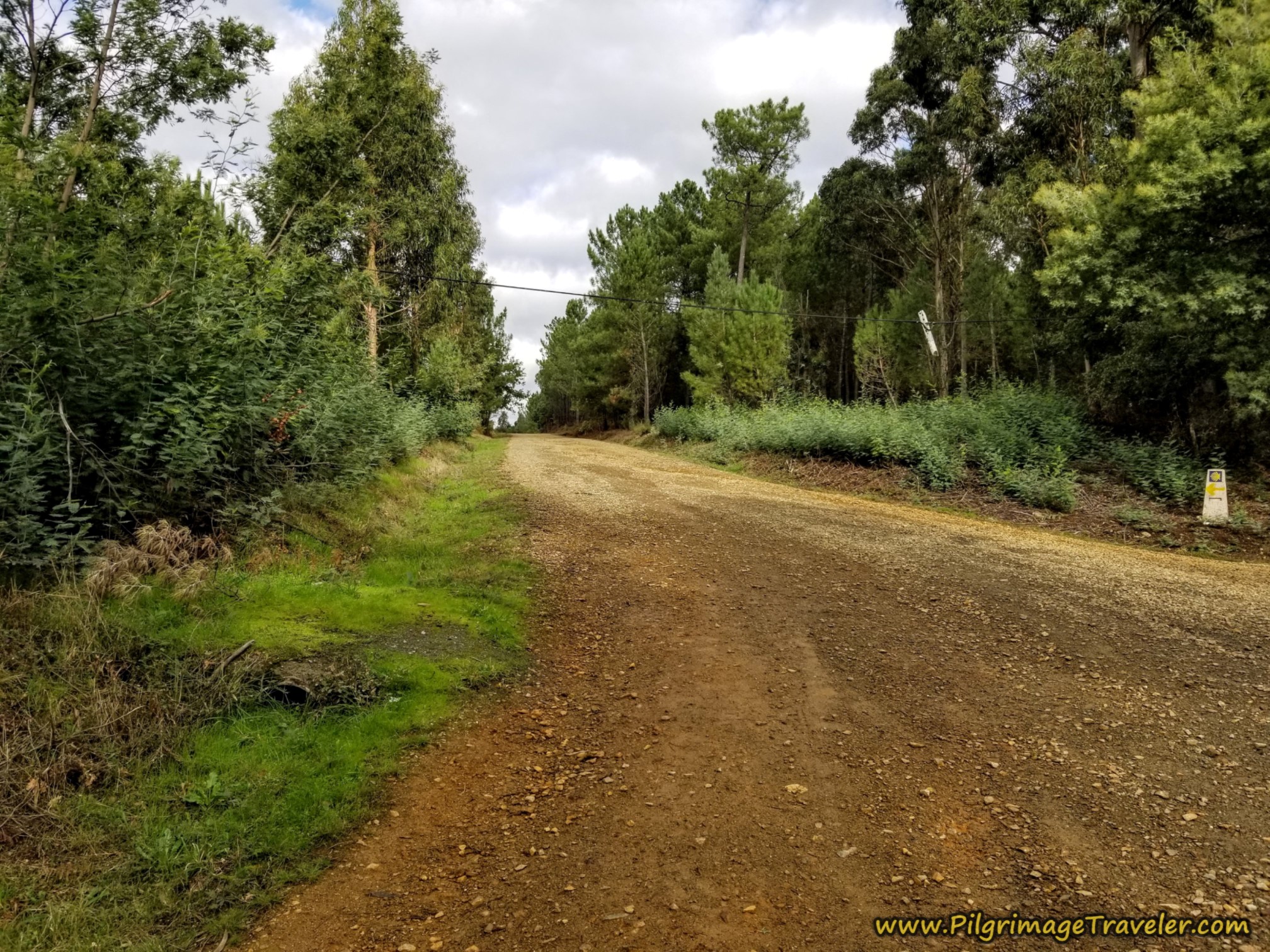 Turn Left Onto Another Uphill DIrt Lane Turn Left Onto Another Uphill DIrt Lane