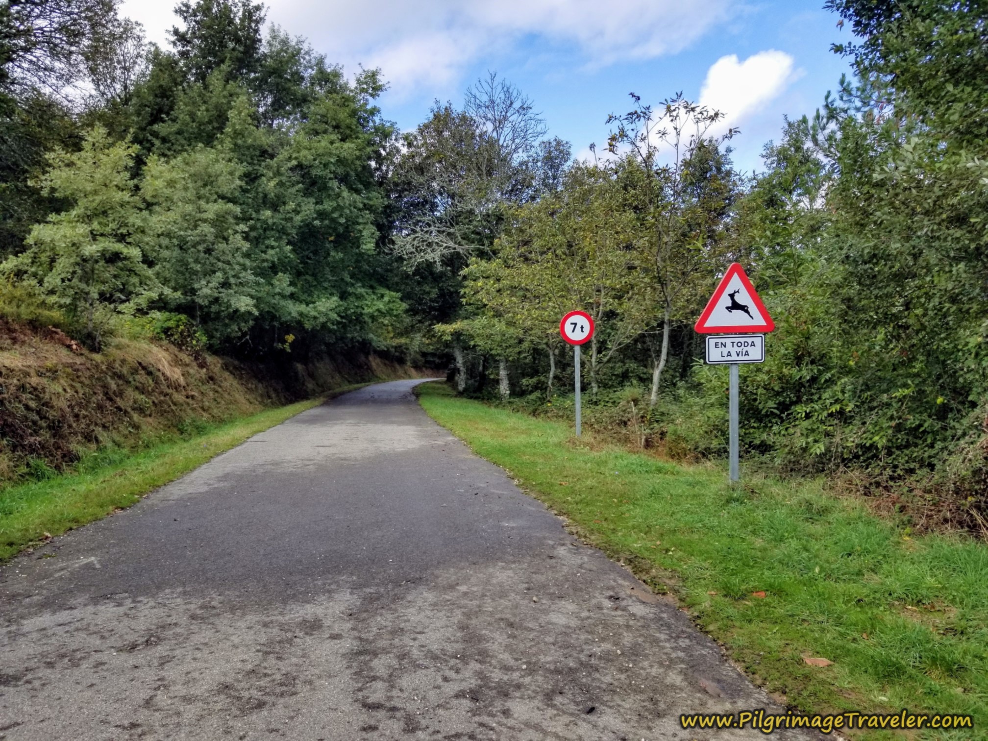 Pavement Leaving As Eiras