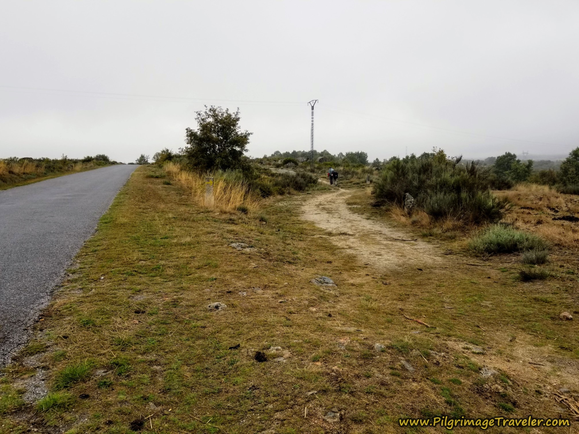 Side Road of the OU-0953, on the Camino Sanabrés from Lubián to A Gudiña