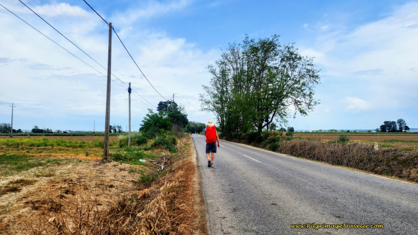 The Dangerous Section of the N365