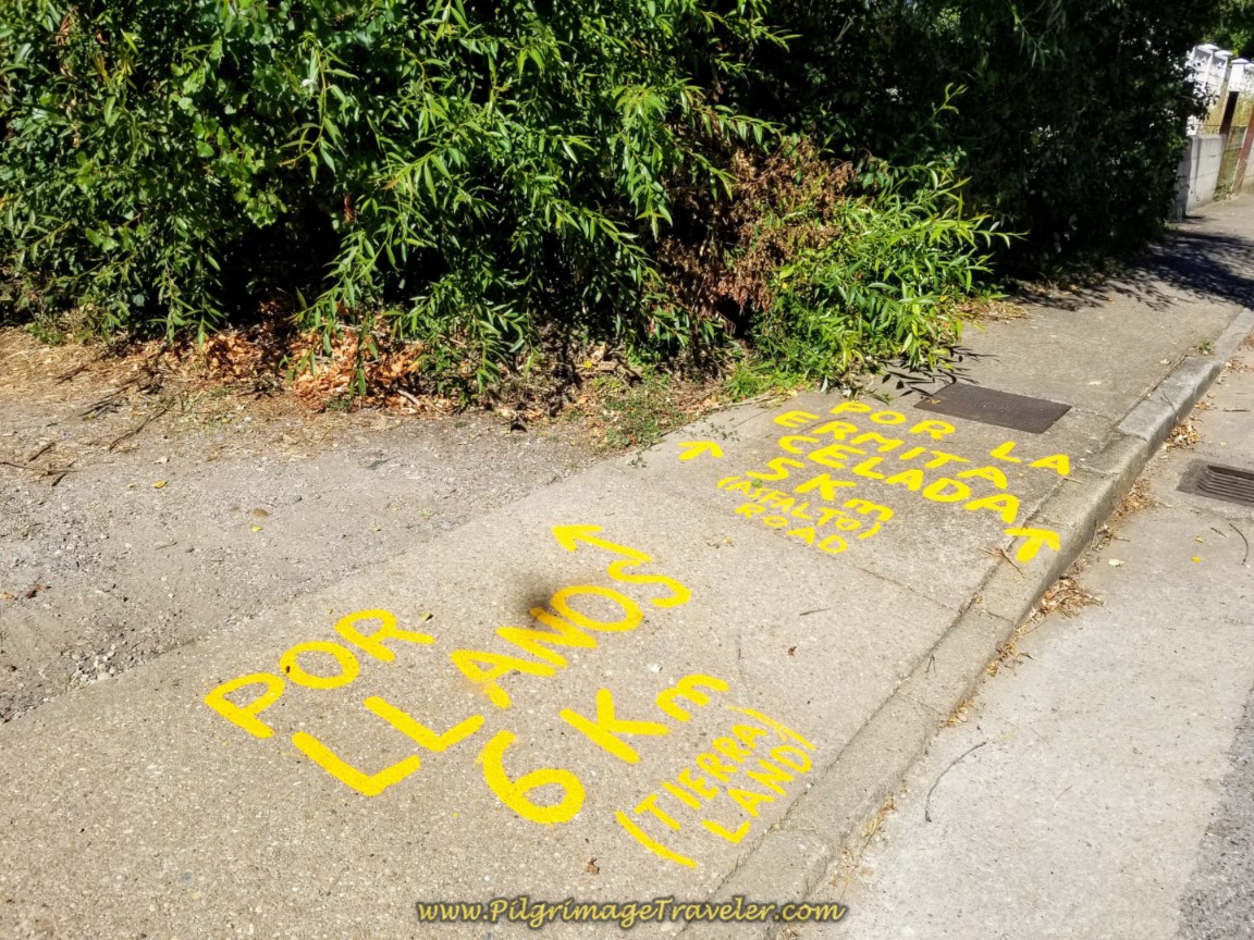 Decision Point in Cascantes