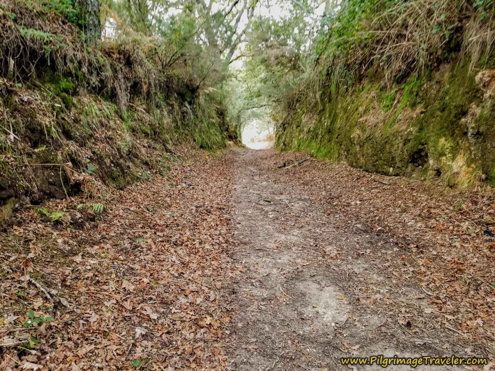 Deeply Cut Road Deeply Cut Road