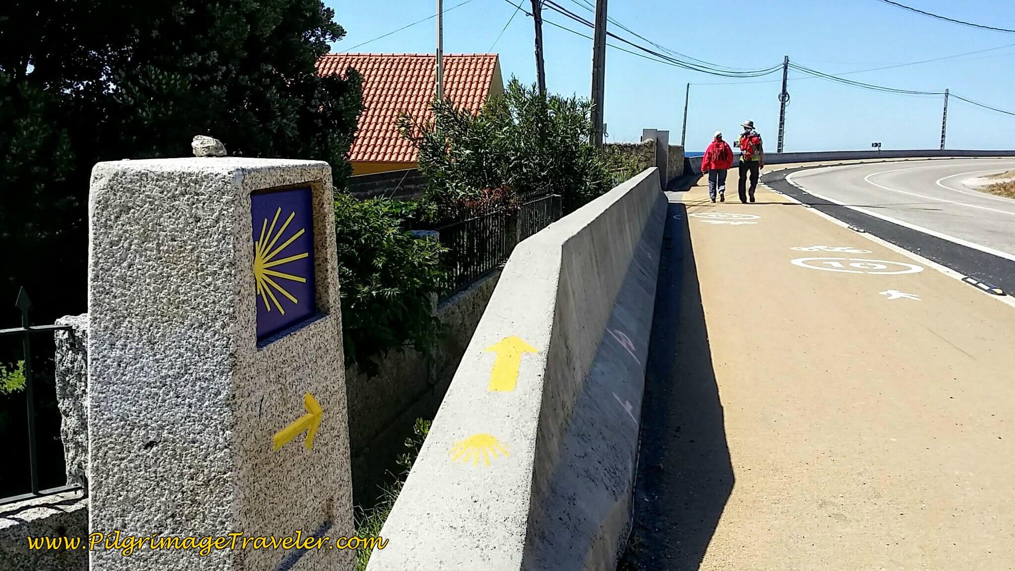 Rejoin the PO-552 After 3 Kilometers on the Dirt Road on day ninteen of the Portuguese Way