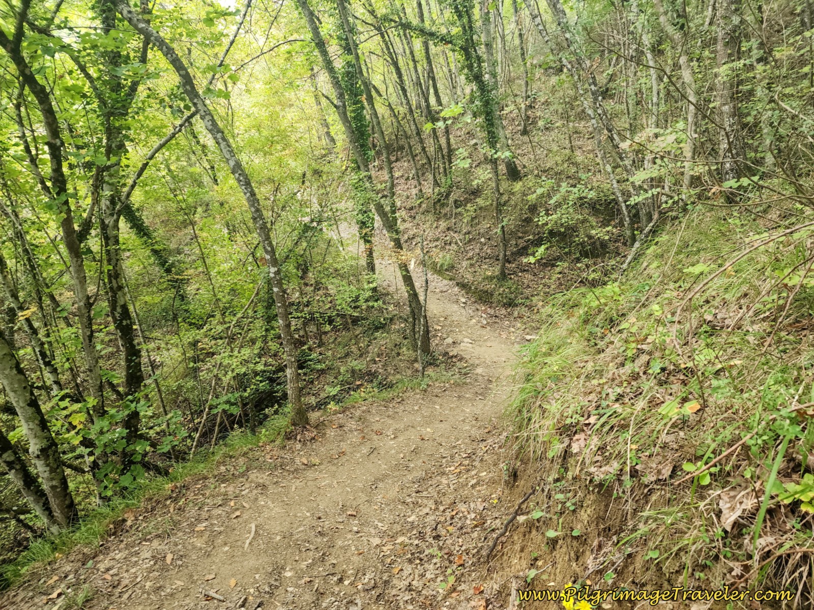 Onward Path After the Chiesa di Caprignone