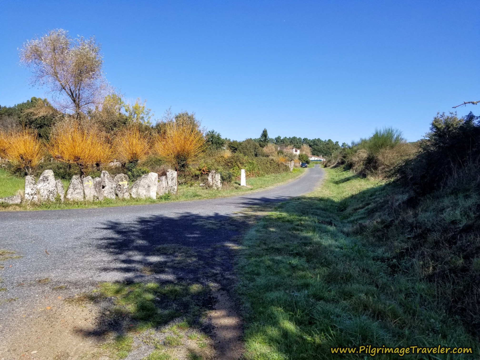 Right Turn Toward Faramontaos
