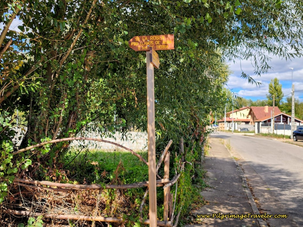 Signpost at Decision Point in Cascantes