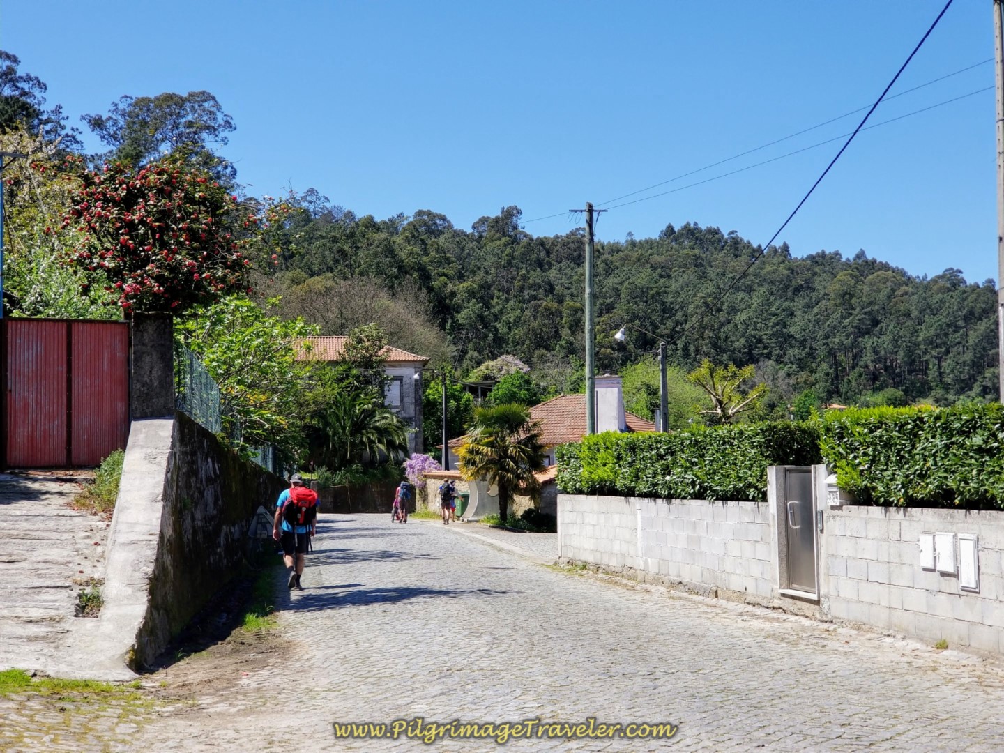 Walking on the Quiet M555 on day sixteen on the Central Route of the Portuguese Way