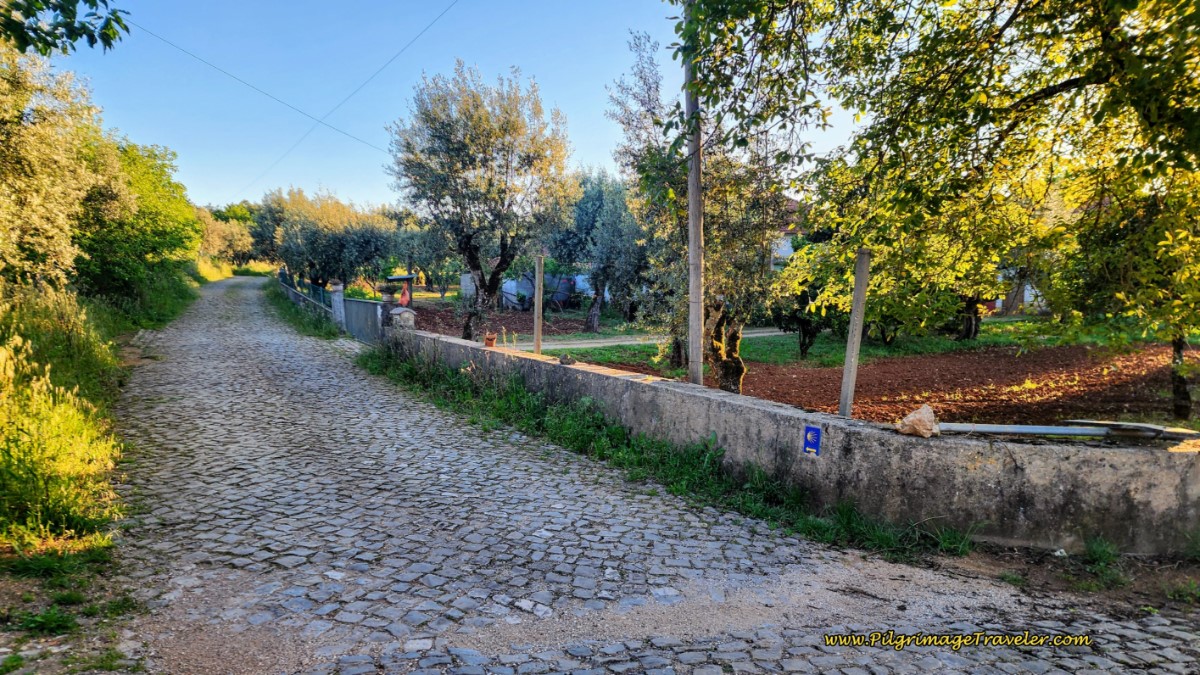 Turn Left Here Toward Outeirinho