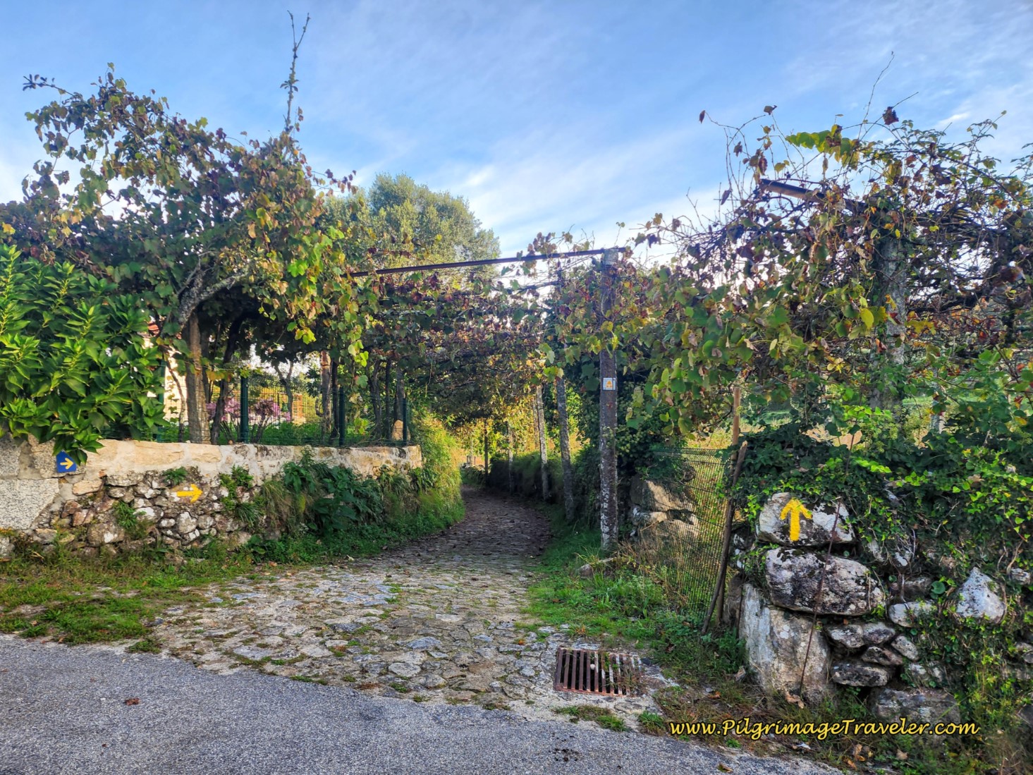 More Grape Arbors and Cobblestone