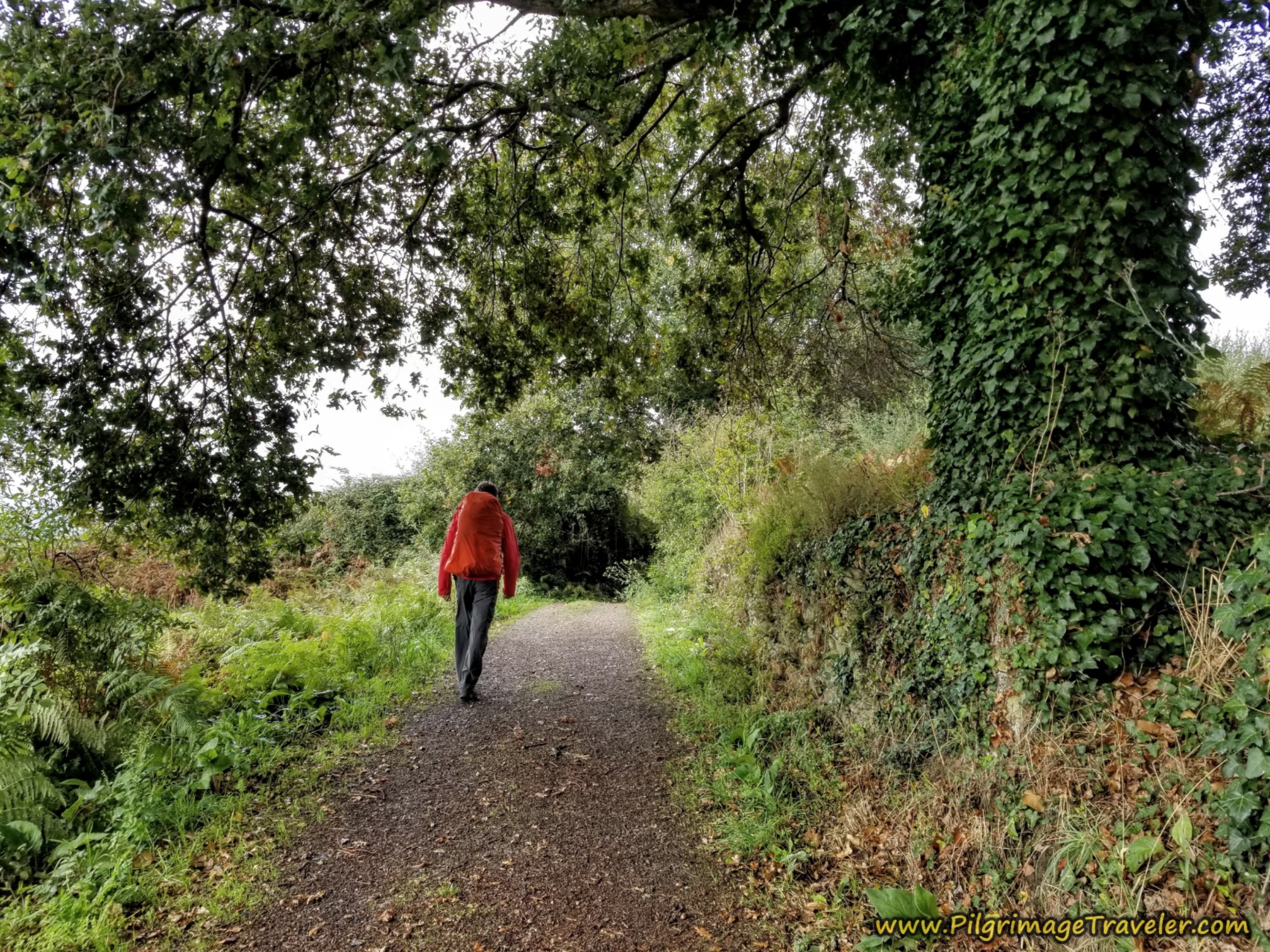 N-525 Parallel Lane N-525 Parallel Lane