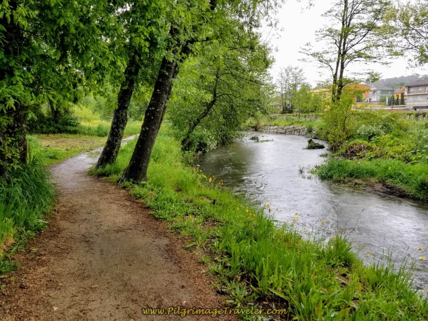 Riverwalk on the Río Louro on day twenty on the central route of the Portuguese Camino