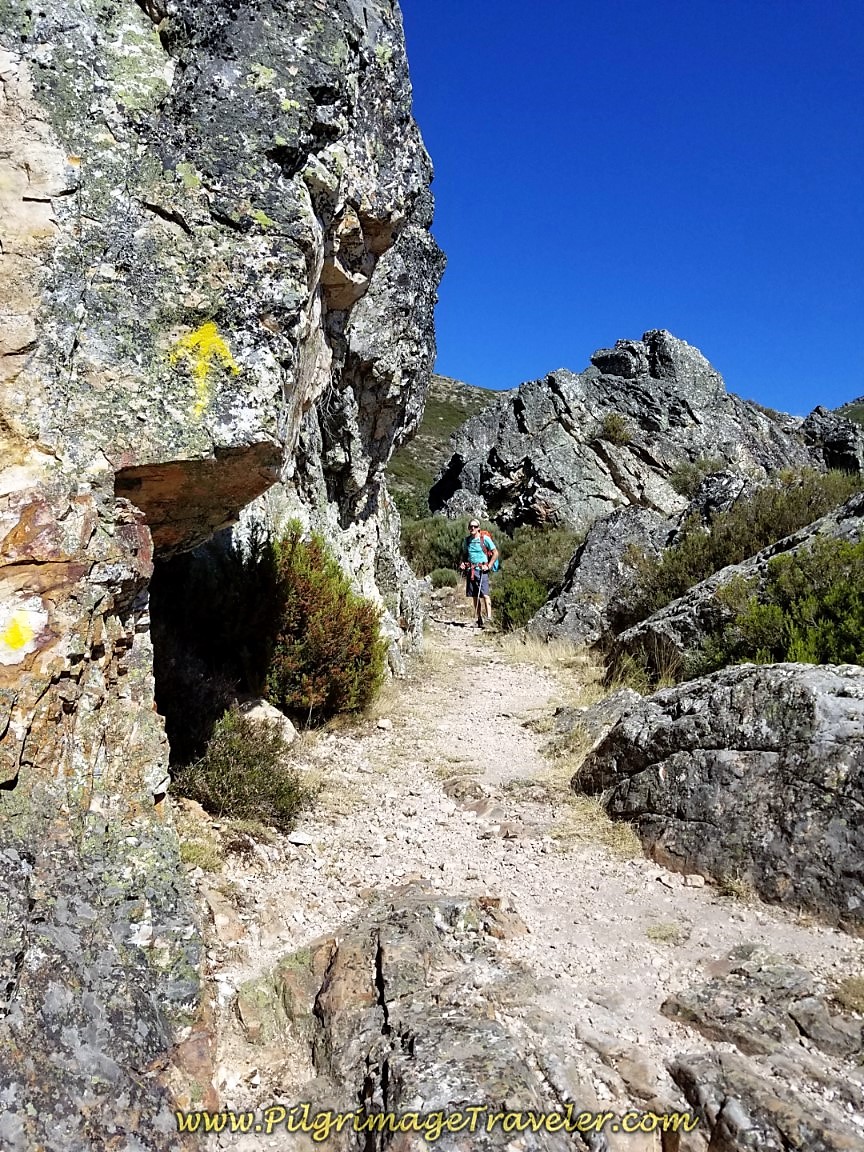 Plenty of Yellow Arrows Along the Way