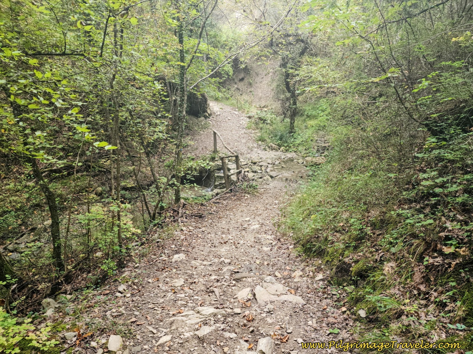 Cross Low Point at Drainage