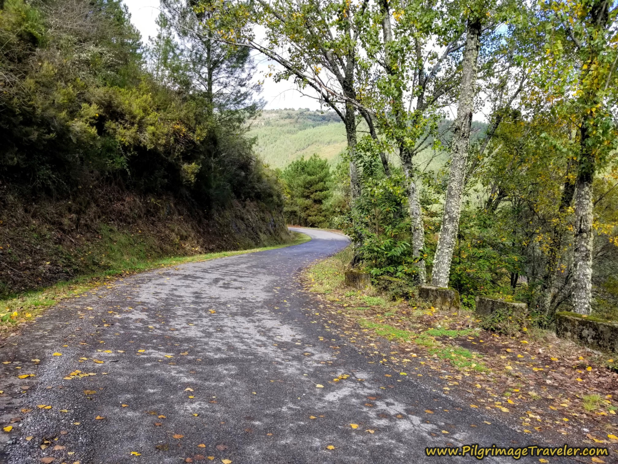 Forest Descent Continues, Camino Sanabrés, A Venda da Capela to A Laza